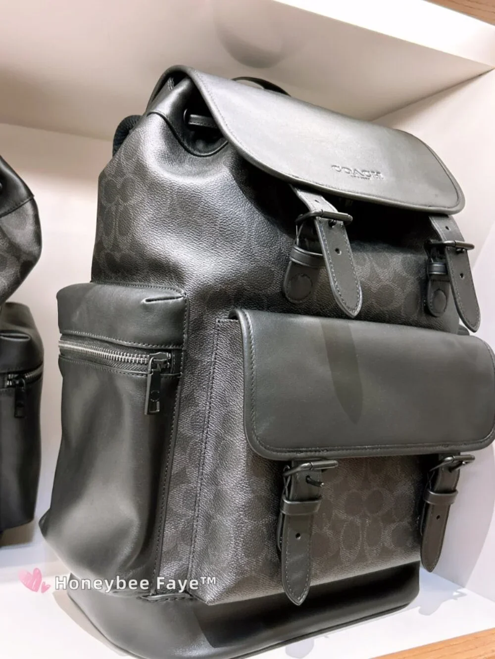 Sprint Backpack In Signature Canvas CFG67